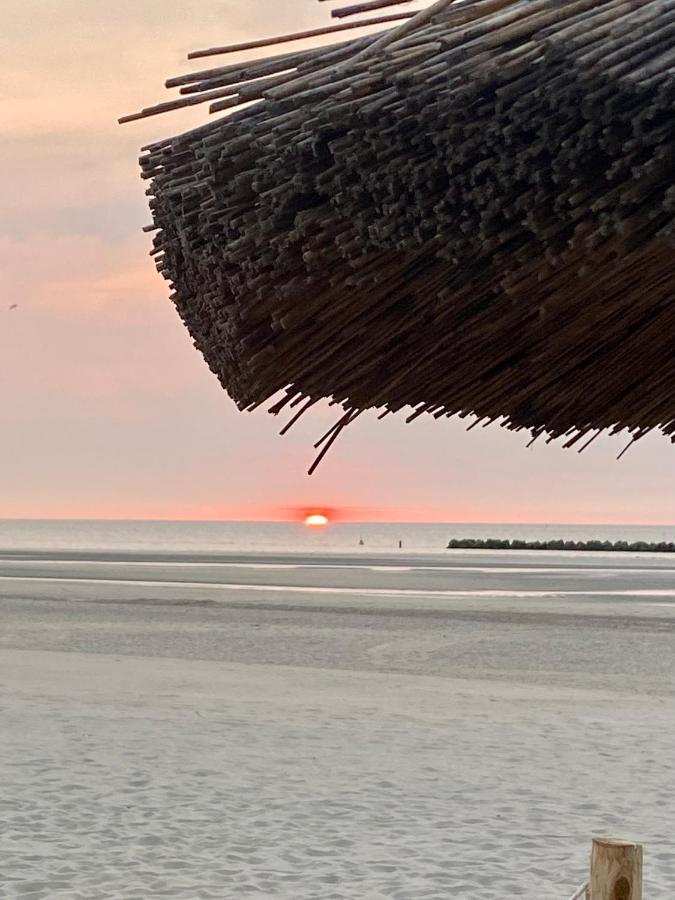 Appartement Sur La Plage De Malo Les Bains Vue Mer ダンケルク エクステリア 写真
