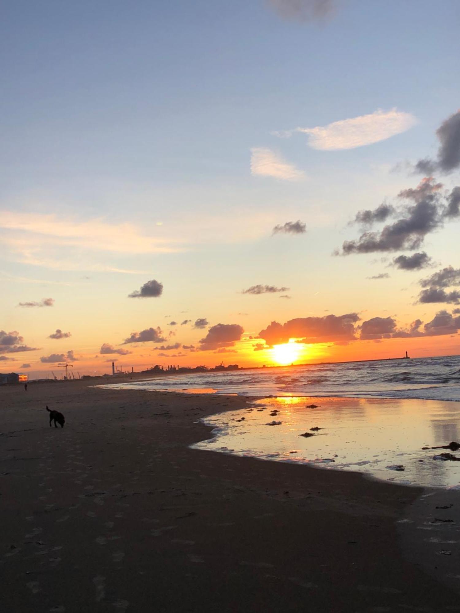 Appartement Sur La Plage De Malo Les Bains Vue Mer ダンケルク エクステリア 写真